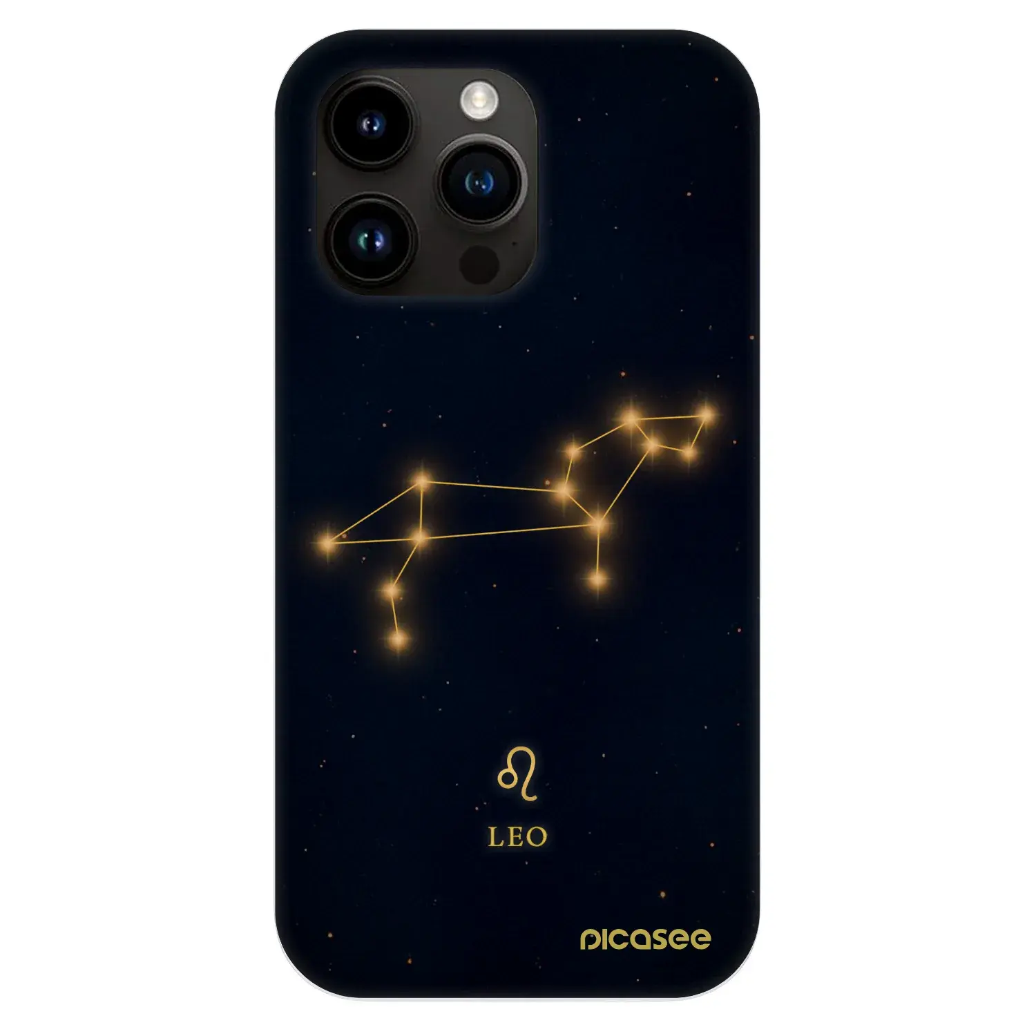 Fashion Case MagSafe Apple iPhone 13 Pro - LEO