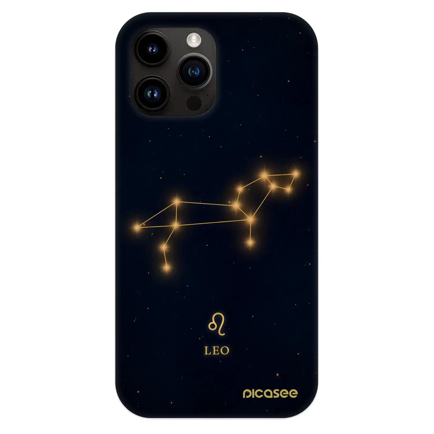 Fashion Case MagSafe Apple iPhone 13 Pro Max - LEO