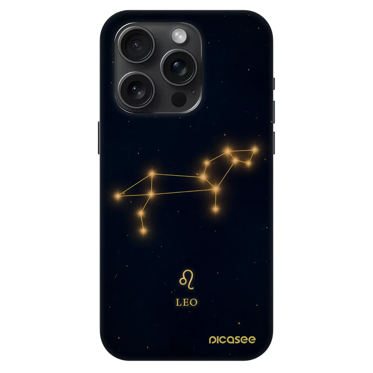 Fashion Case MagSafe Apple iPhone 15 Pro - LEO