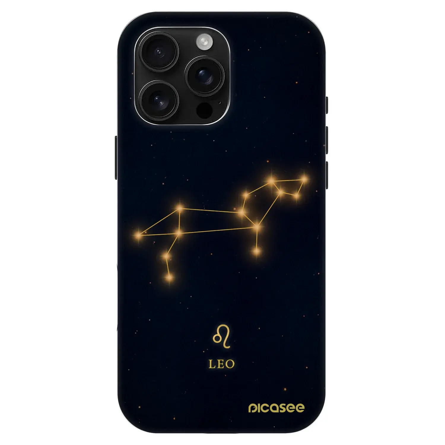 Fashion Case MagSafe Apple iPhone 16 Pro Max - LEO