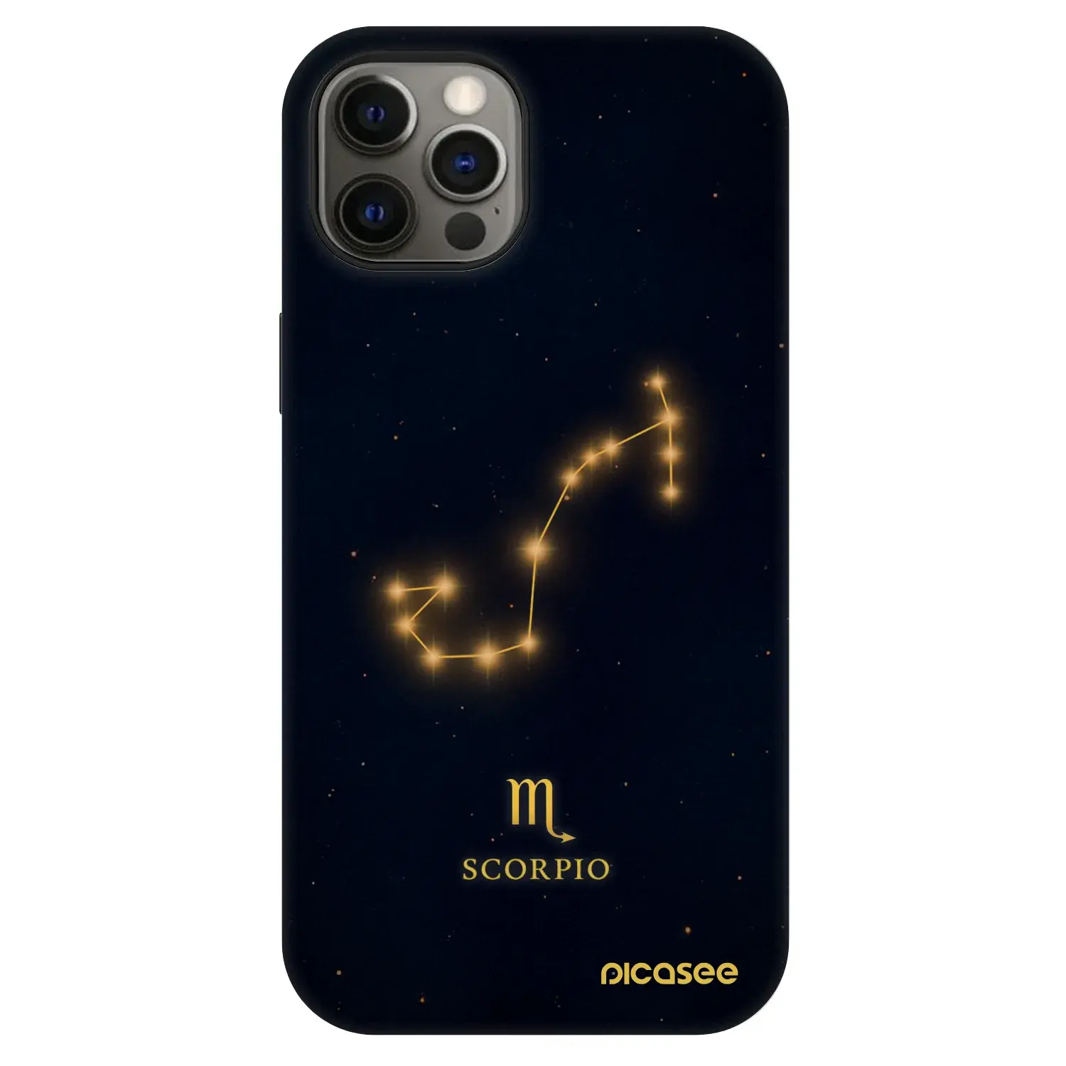 Fashion Case MagSafe Apple iPhone 12 - SCORPIO