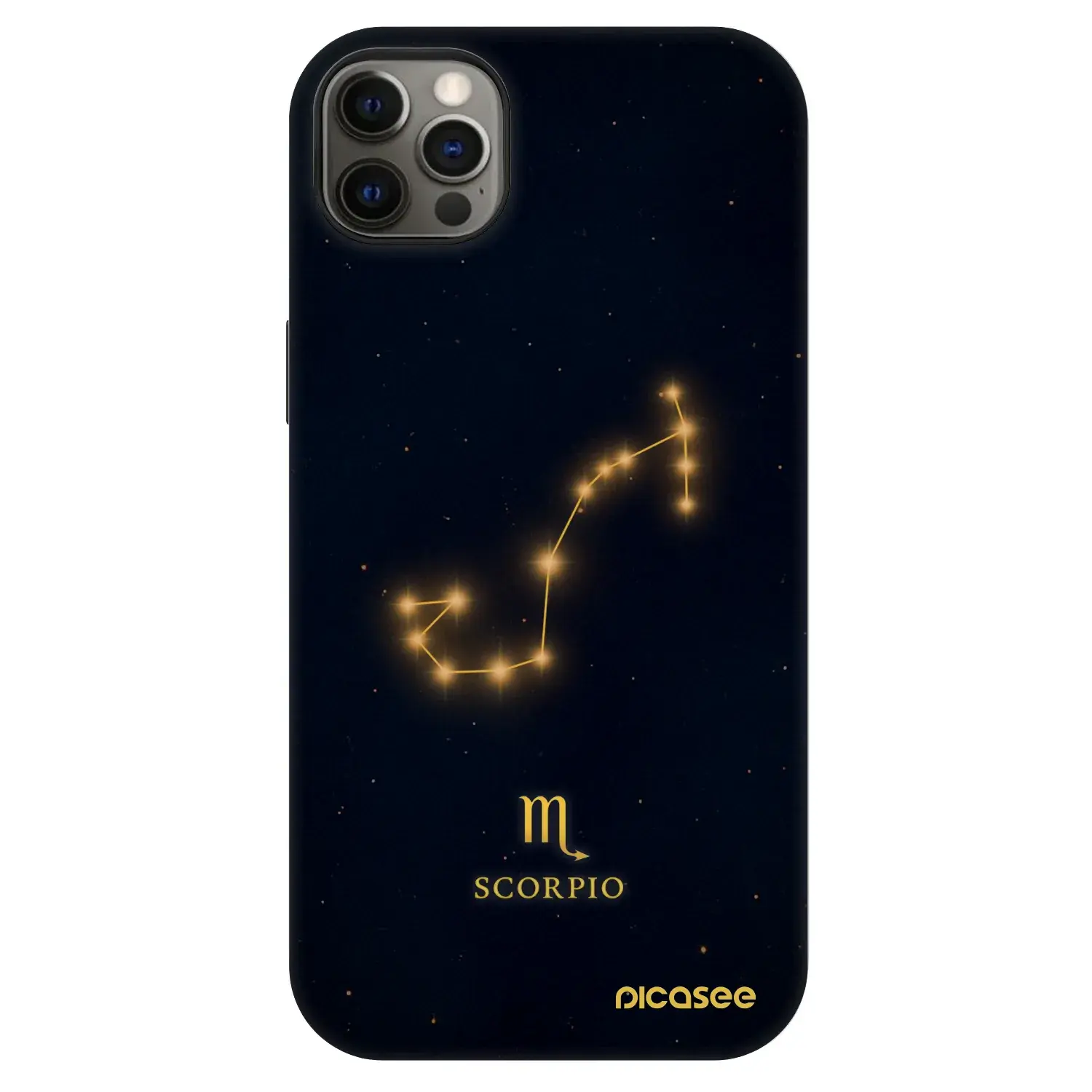 Fashion Case MagSafe Apple iPhone 12 Pro Max - SCORPIO