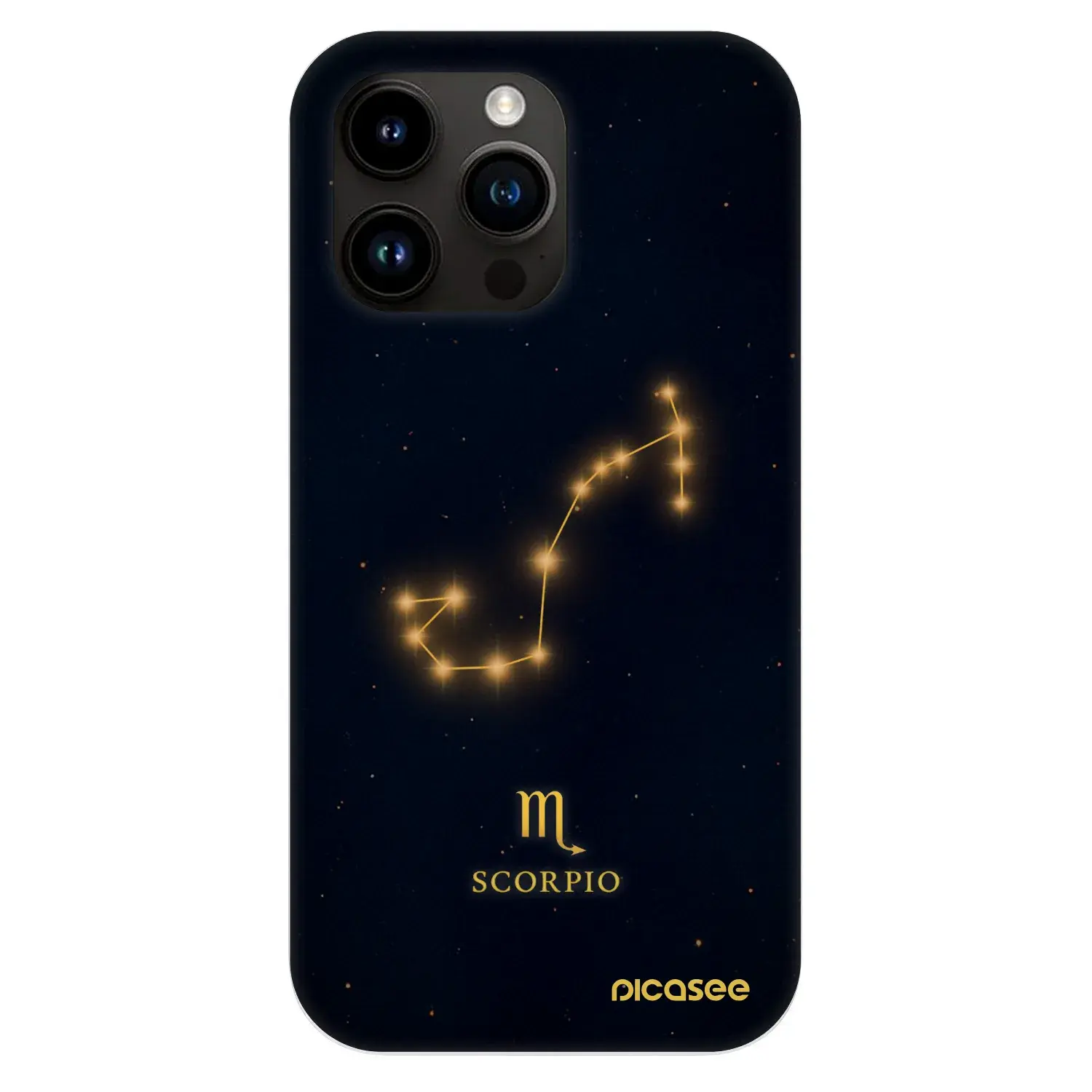 Fashion Case MagSafe Apple iPhone 13 Pro - SCORPIO