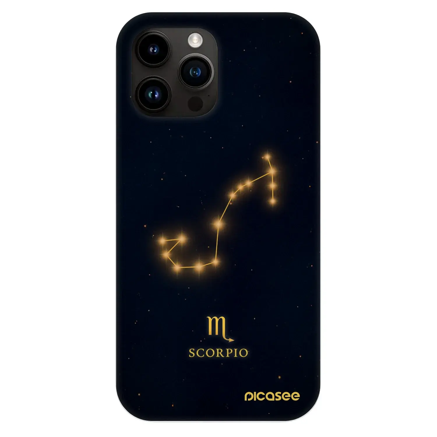 Fashion Case MagSafe Apple iPhone 13 Pro Max - SCORPIO