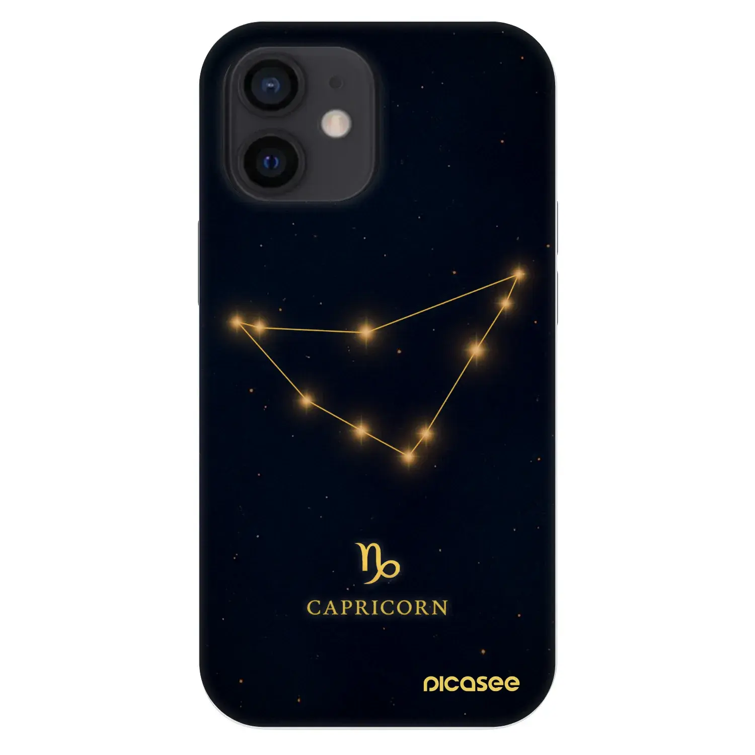 Fashion Case pro Apple iPhone 12 mini - CAPRICORN