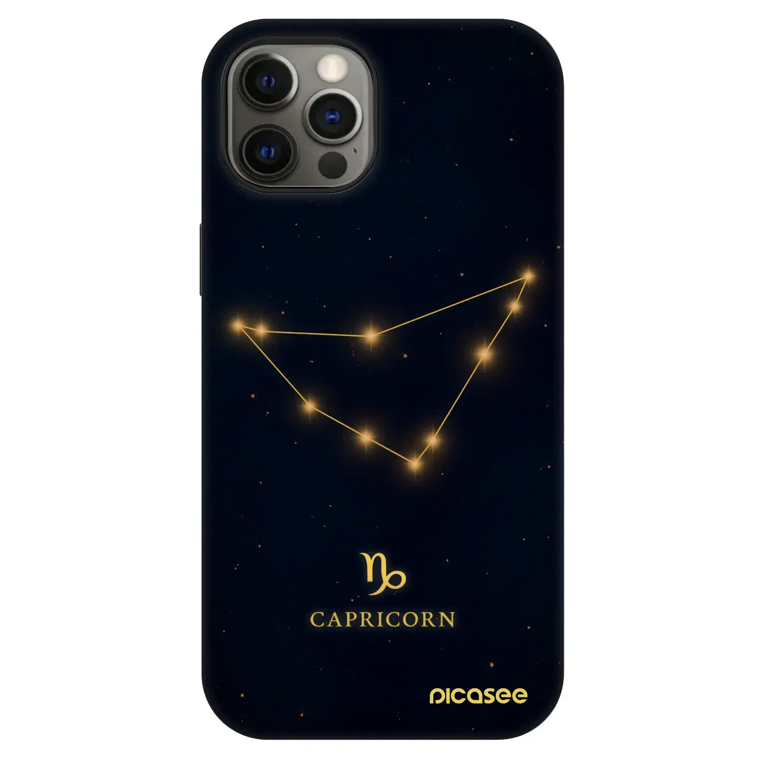 Fashion Case MagSafe Apple iPhone 12 - CAPRICORN