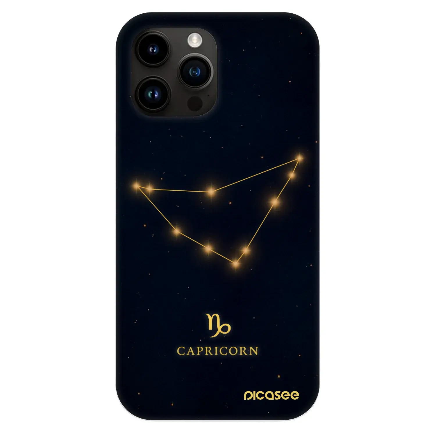 Fashion Case MagSafe Apple iPhone 13 Pro Max - CAPRICORN
