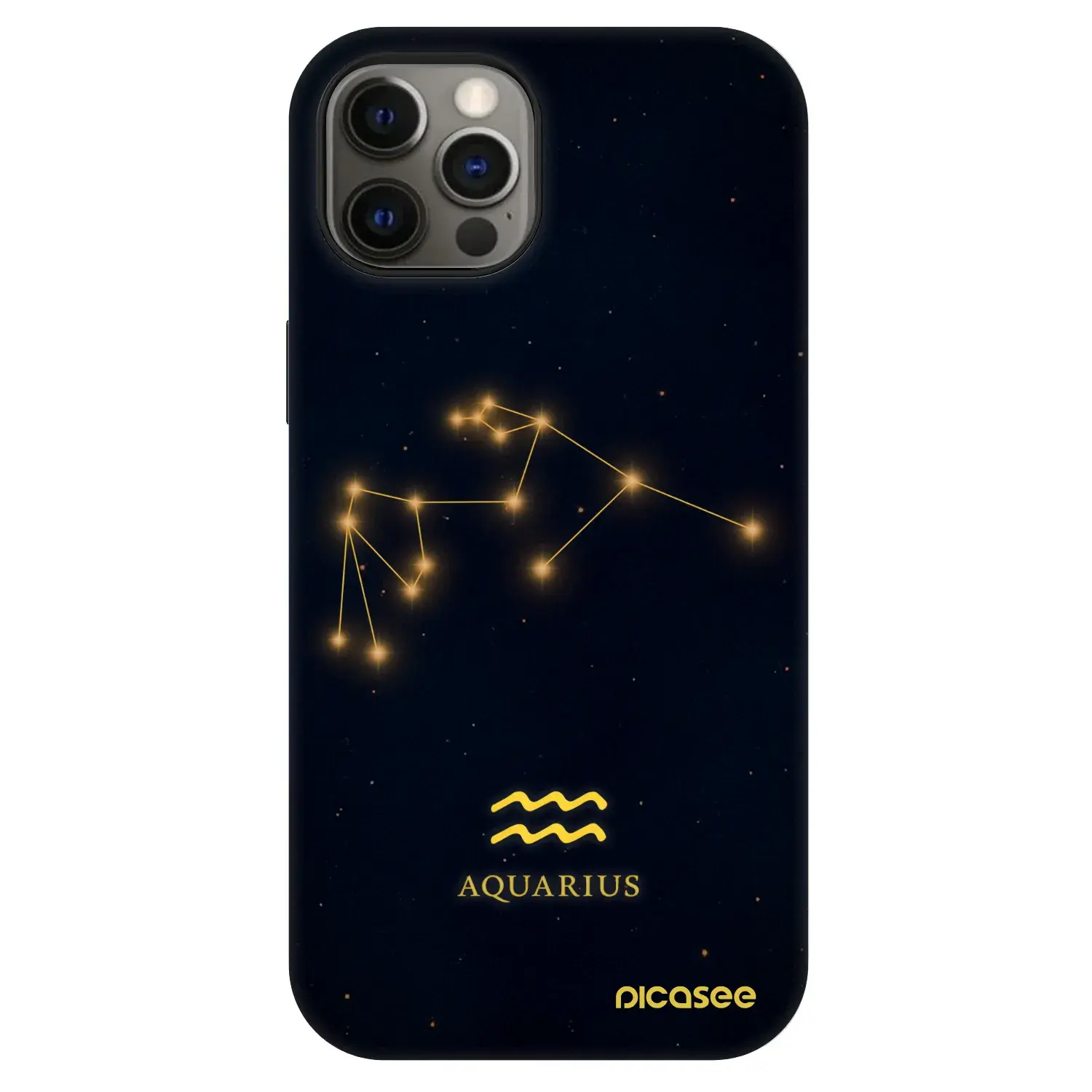 Fashion Case MagSafe Apple iPhone 12 - AQUARIUS