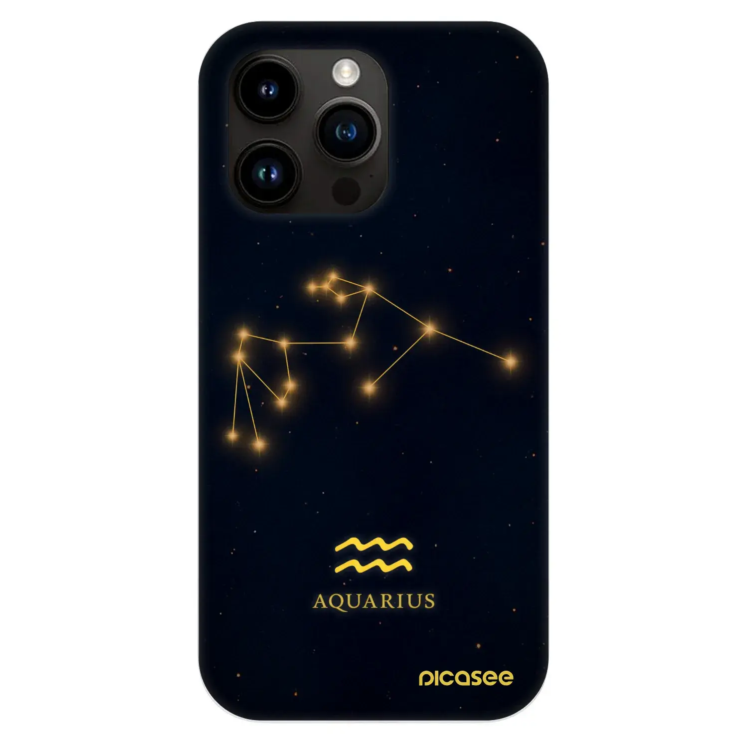 Fashion Case MagSafe Apple iPhone 13 Pro - AQUARIUS