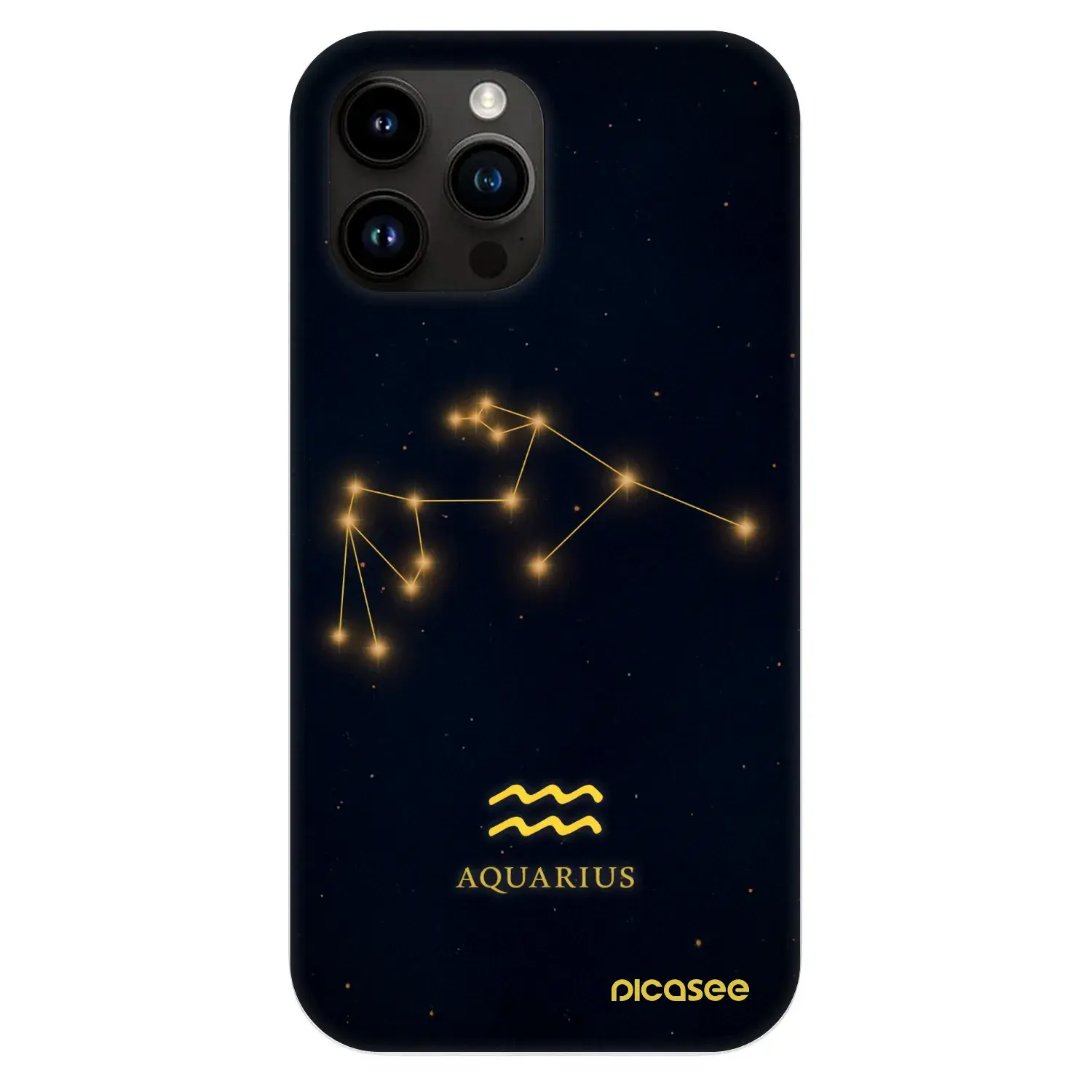 Fashion Case MagSafe Apple iPhone 13 Pro Max - AQUARIUS