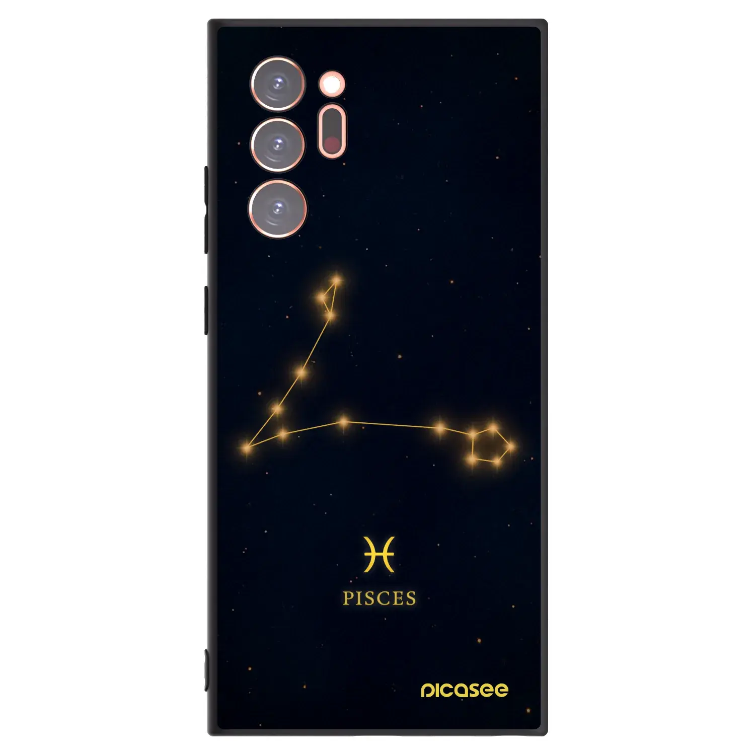 Silikonový černý obal pro Samsung Galaxy Note 20 Ultra - PISCES