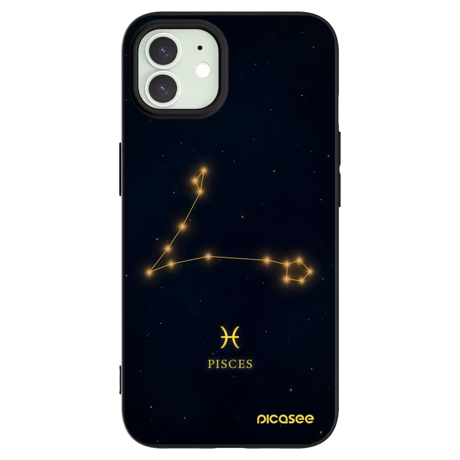 Silikonový černý obal pro Apple iPhone 12 - PISCES