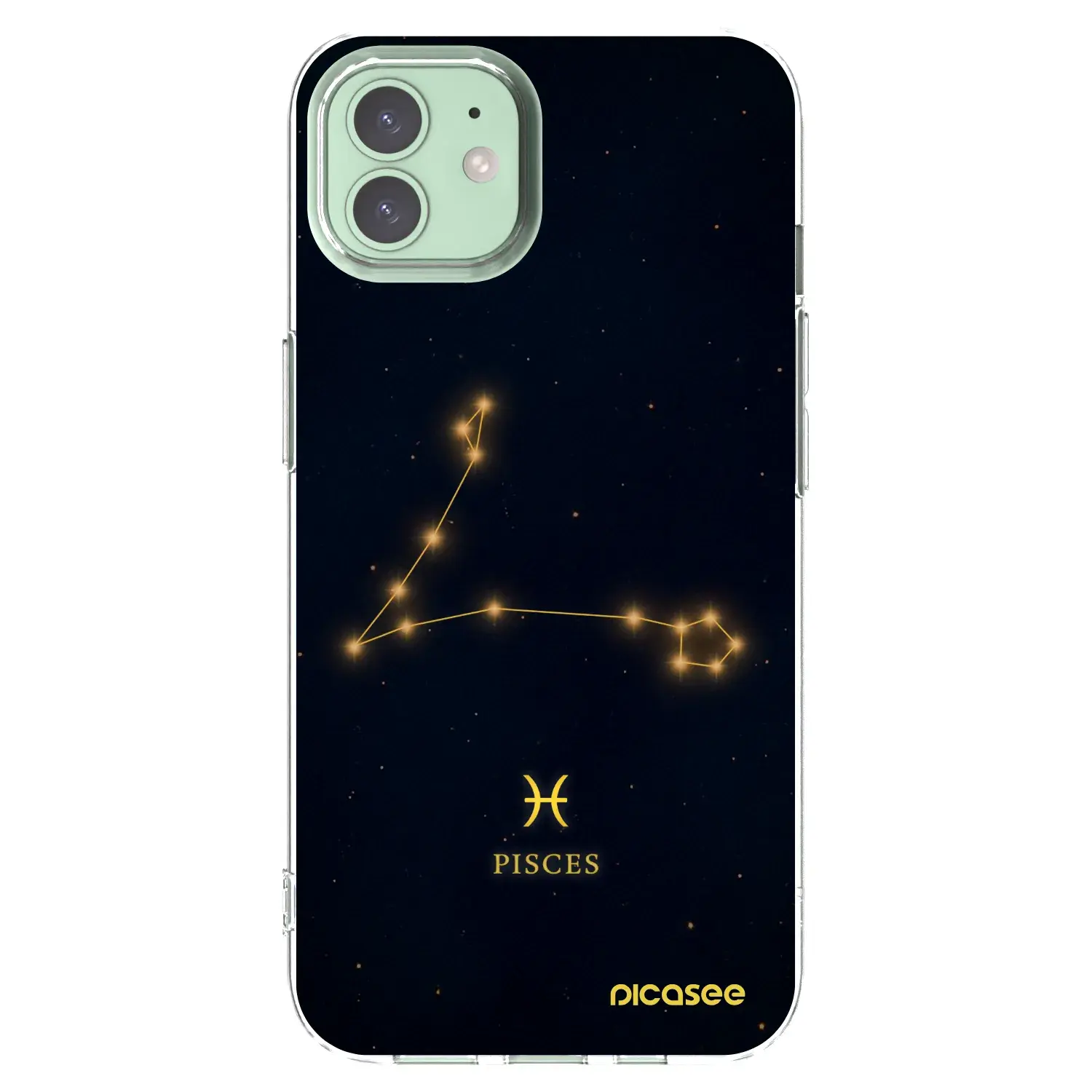 Silikonový průhledný obal pro Apple iPhone 12 - PISCES