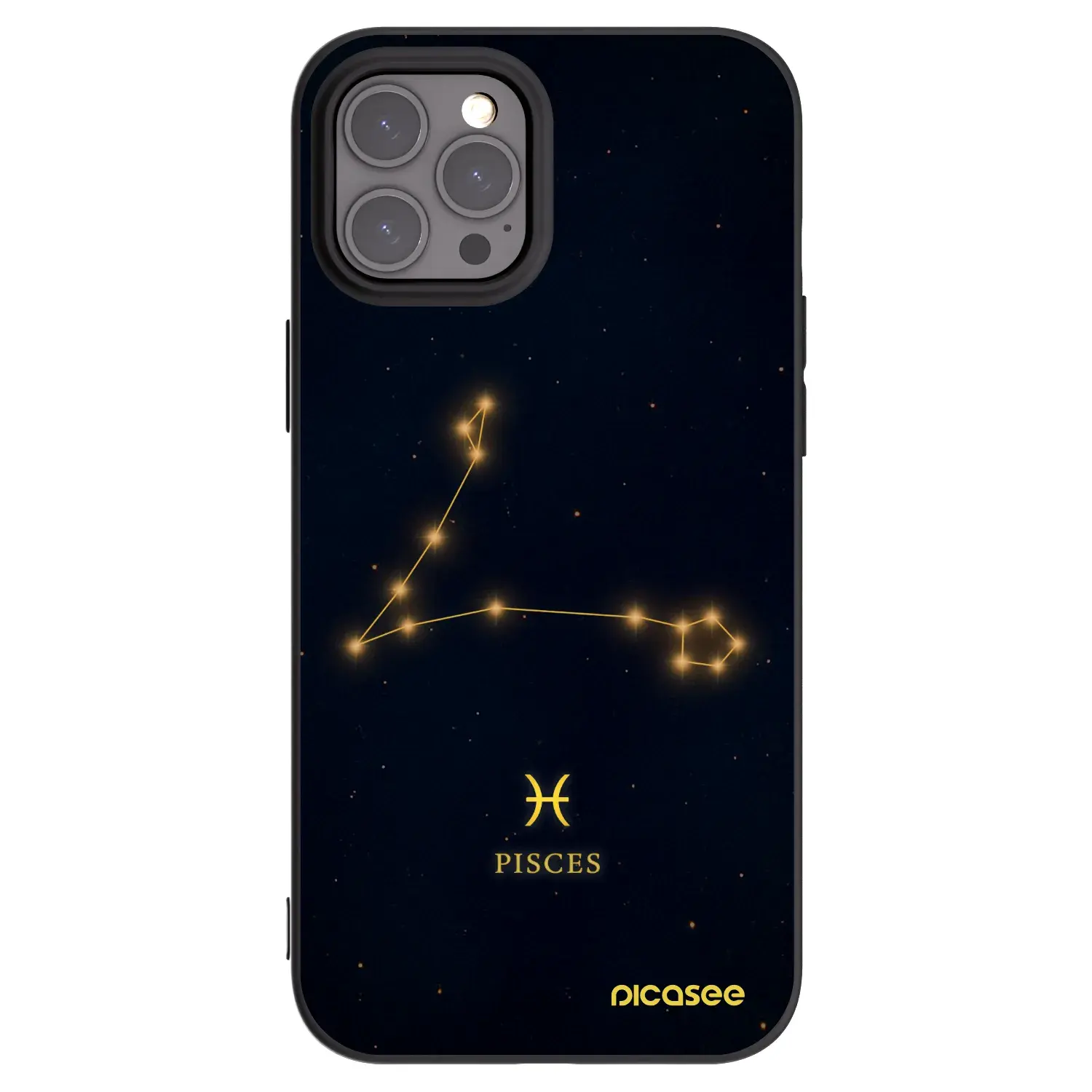 Silikonový černý obal pro Apple iPhone 12 Pro Max - PISCES