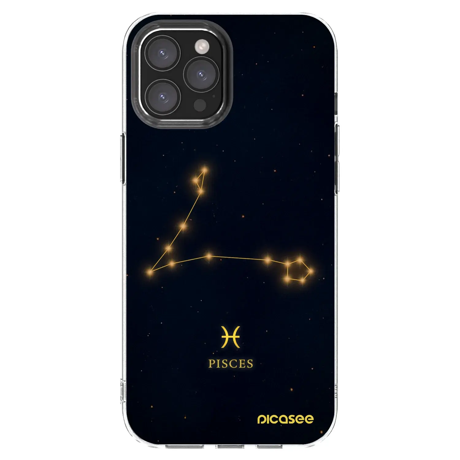 Silikonový průhledný obal pro Apple iPhone 12 Pro Max - PISCES