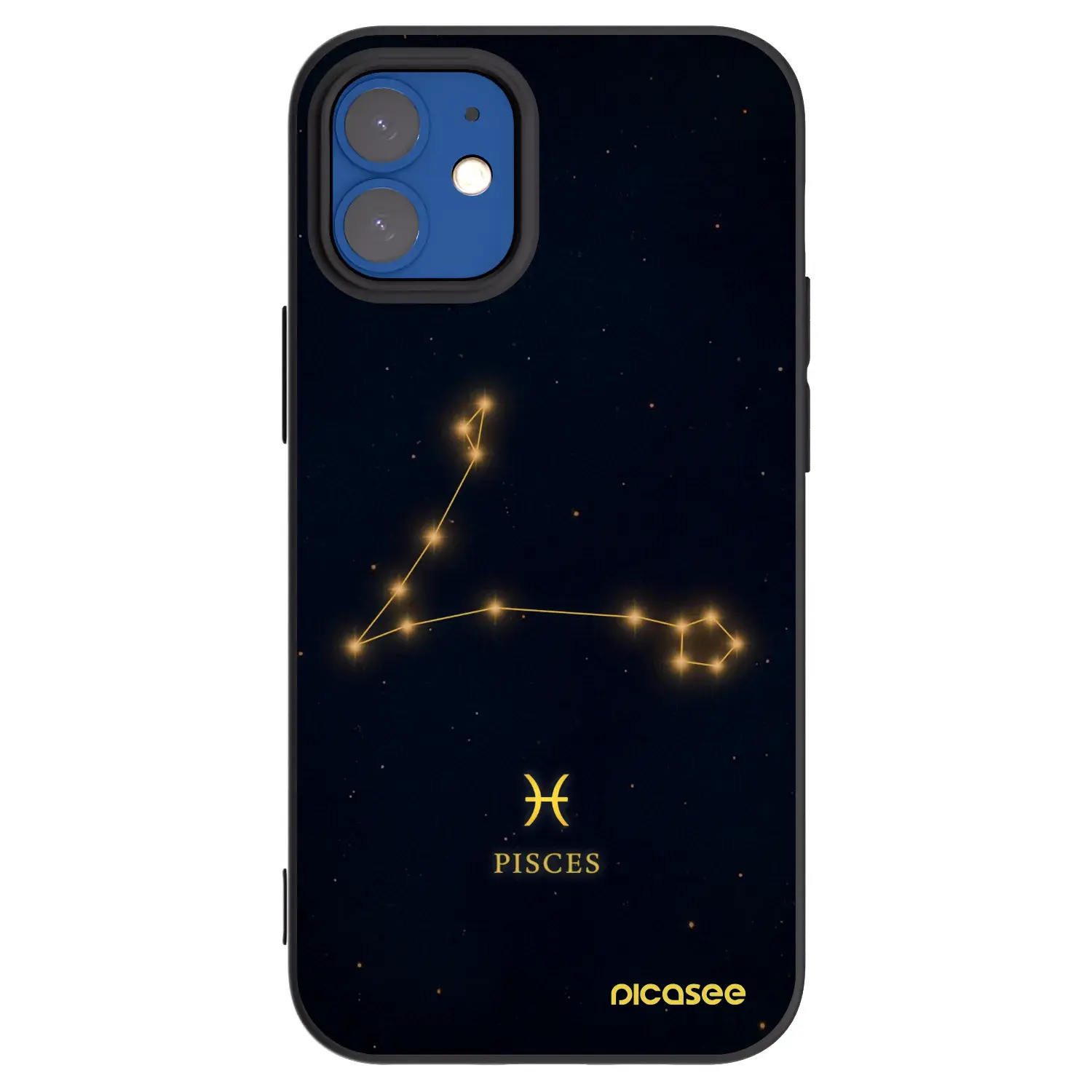 Silikonový černý obal pro Apple iPhone 12 mini - PISCES