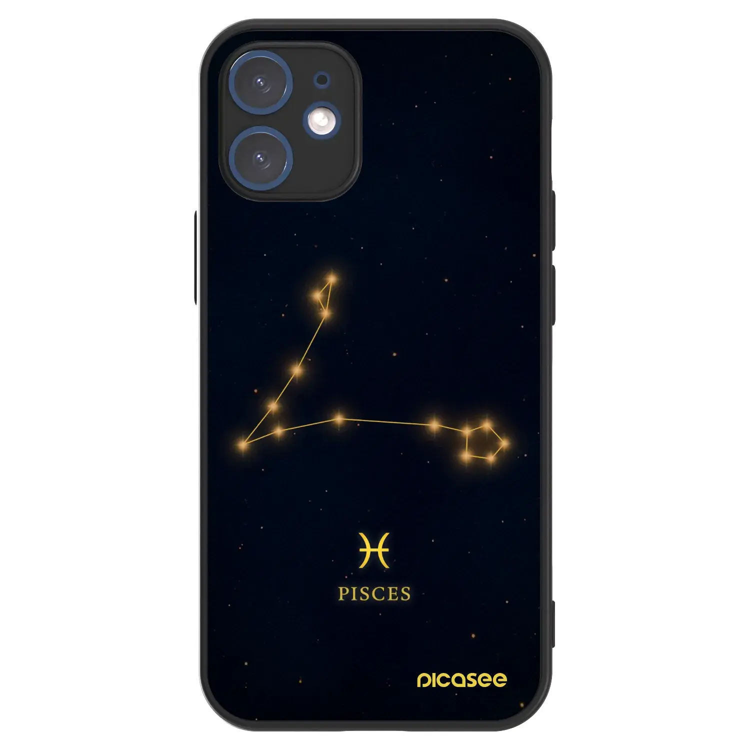 ULTIMATE CASE pro Apple iPhone 12 mini - PISCES