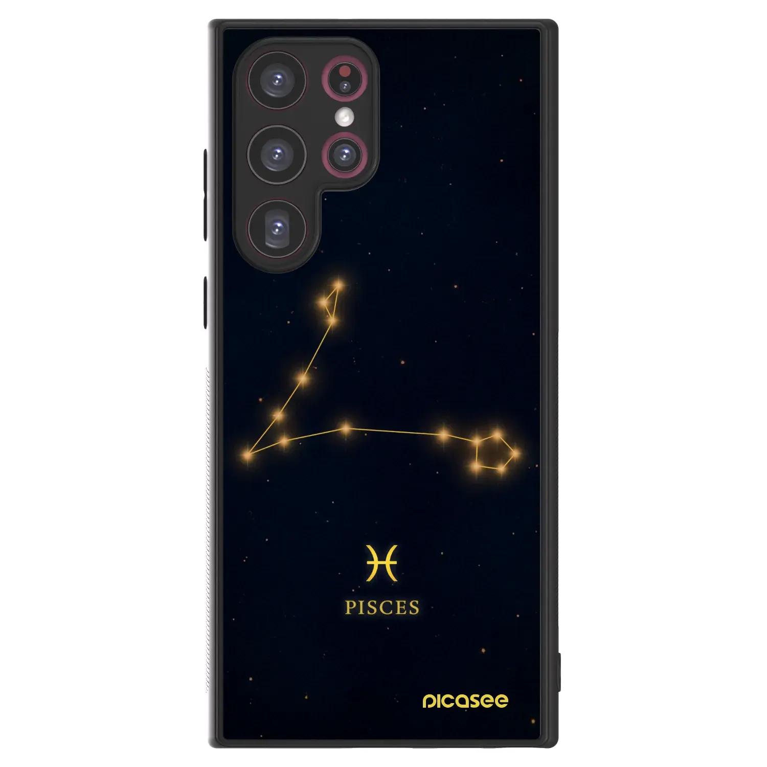 ULTIMATE CASE pro Samsung Galaxy S22 Ultra 5G - PISCES