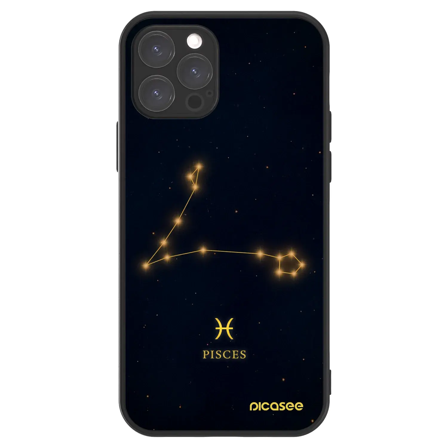 ULTIMATE CASE MagSafe pro Apple iPhone 12 Pro - PISCES