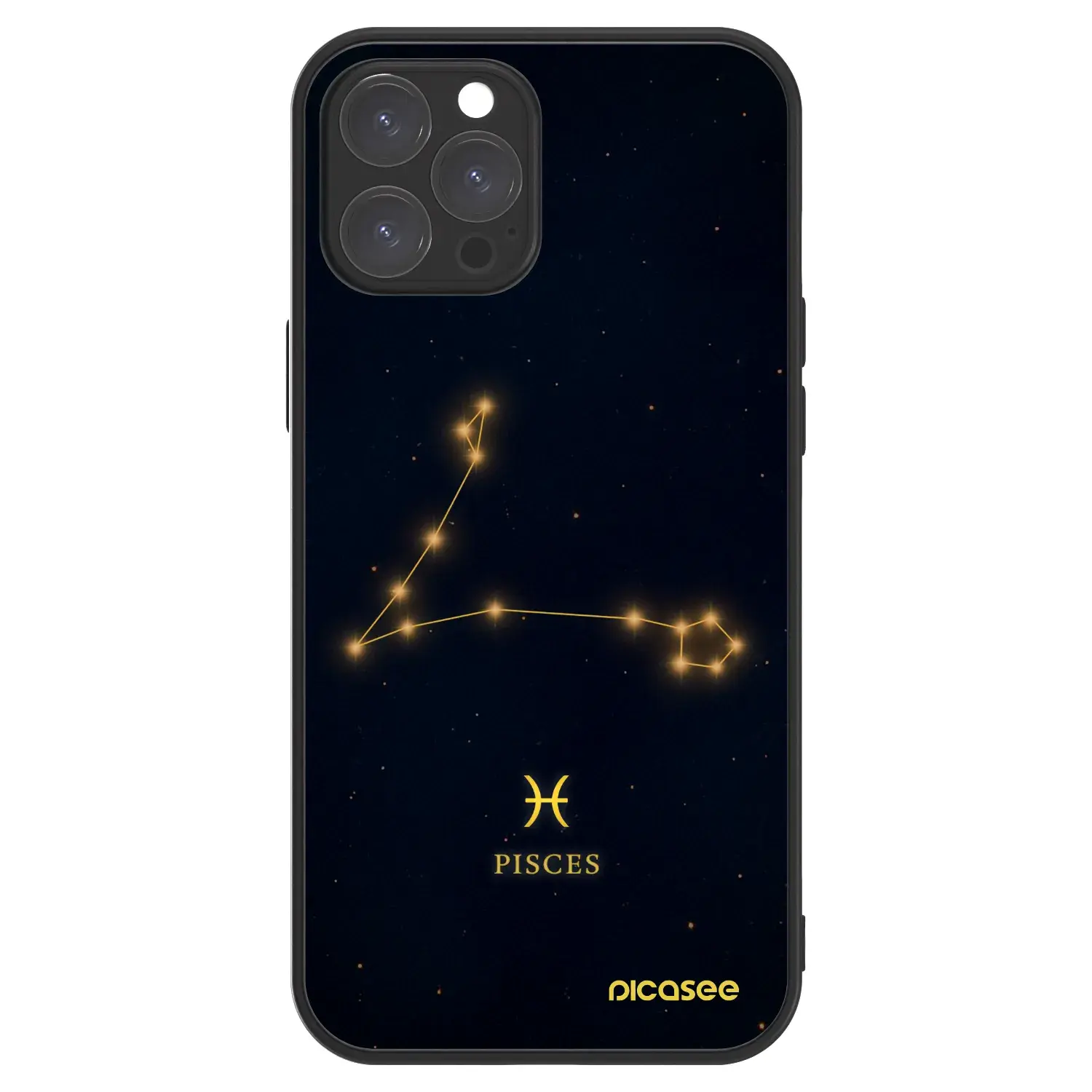 ULTIMATE CASE MagSafe pro Apple iPhone 12 Pro Max - PISCES