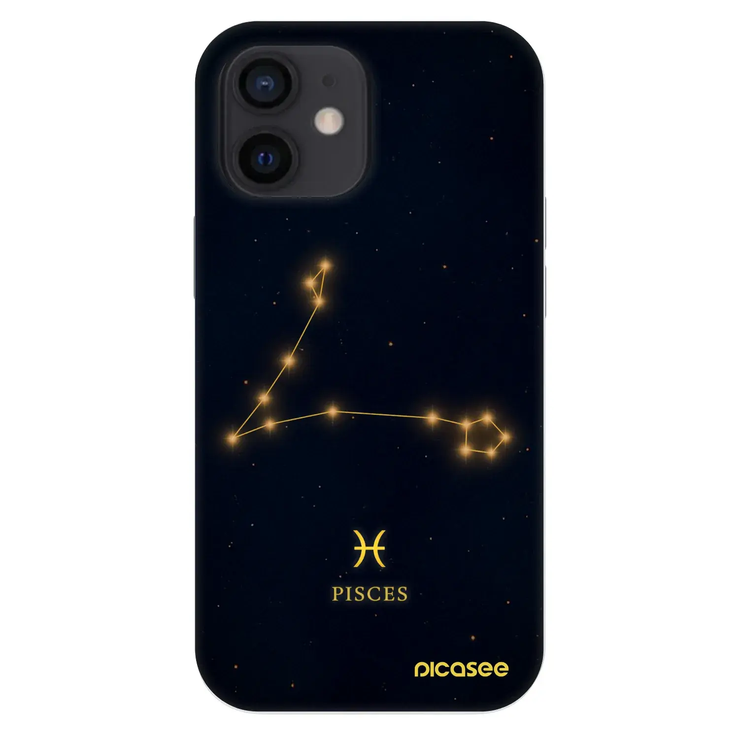 Fashion Case pro Apple iPhone 12 mini - PISCES
