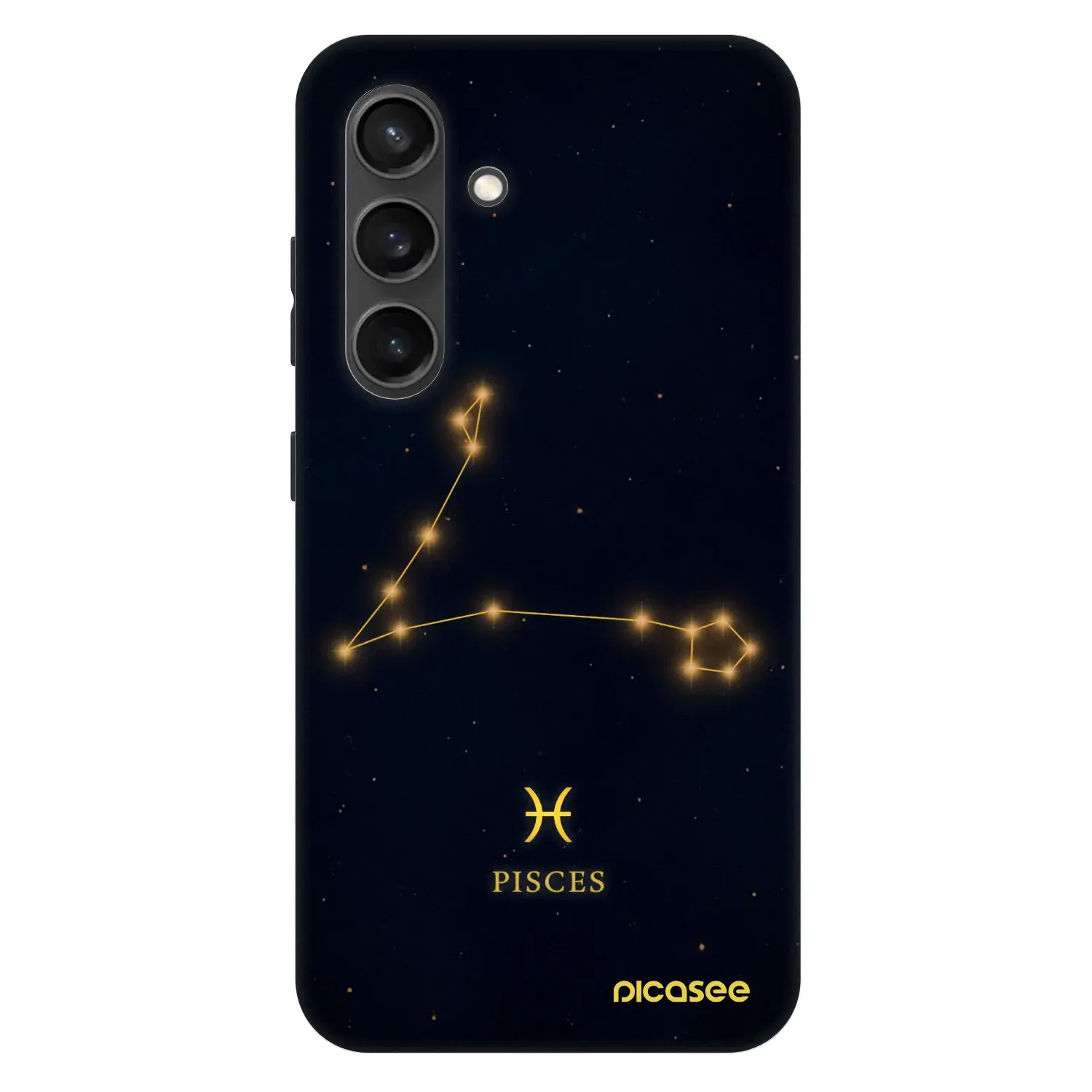 Fashion Case PowerShare pro Samsung Galaxy S24 S921B 5G - PISCES