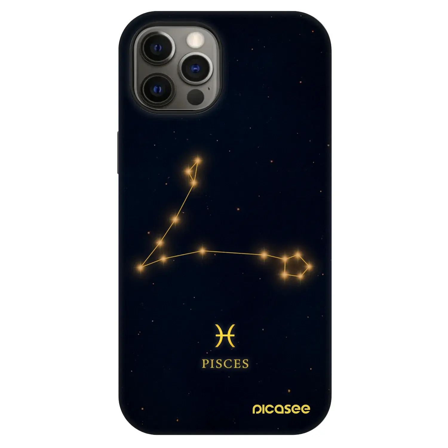 Fashion Case MagSafe Apple iPhone 12 - PISCES