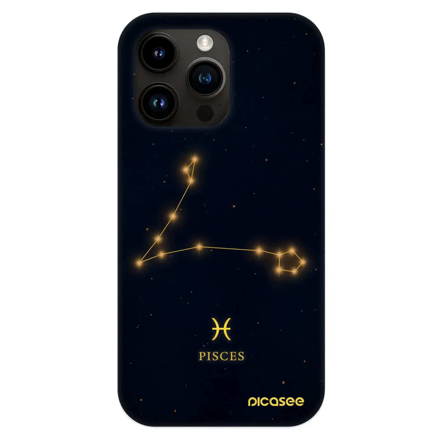 Fashion Case MagSafe Apple iPhone 13 Pro - PISCES