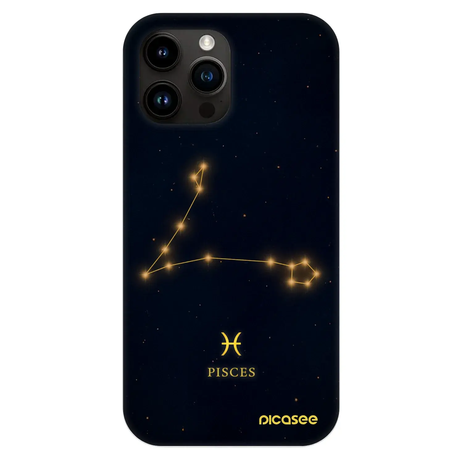Fashion Case MagSafe Apple iPhone 13 Pro Max - PISCES