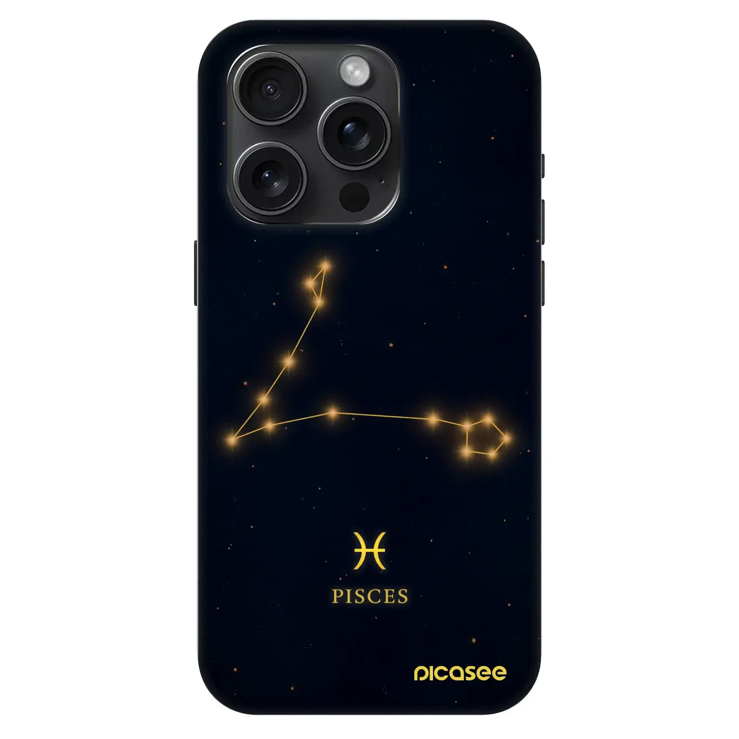 Fashion Case MagSafe Apple iPhone 15 Pro - PISCES