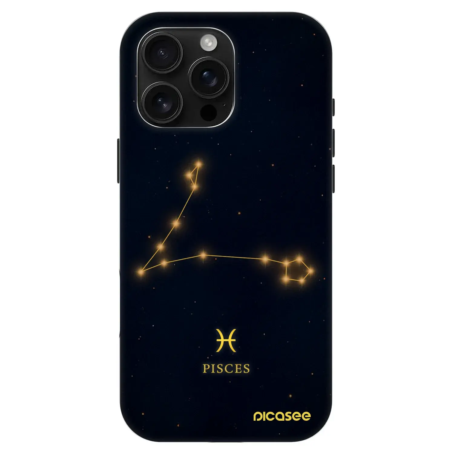 Fashion Case MagSafe Apple iPhone 16 Pro Max - PISCES