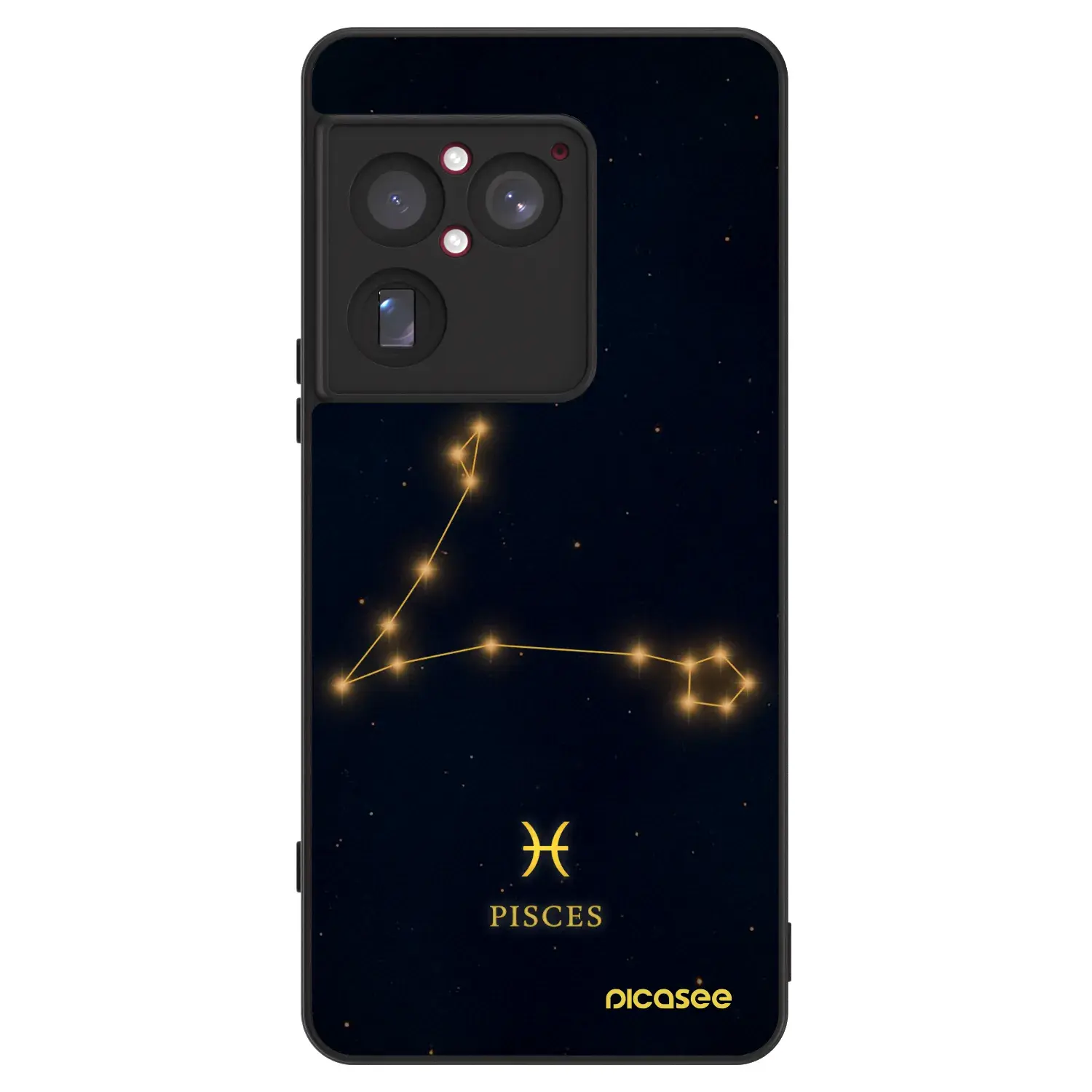 ULTIMATE CASE pro Sony Xperia 1 VIII 5G - PISCES