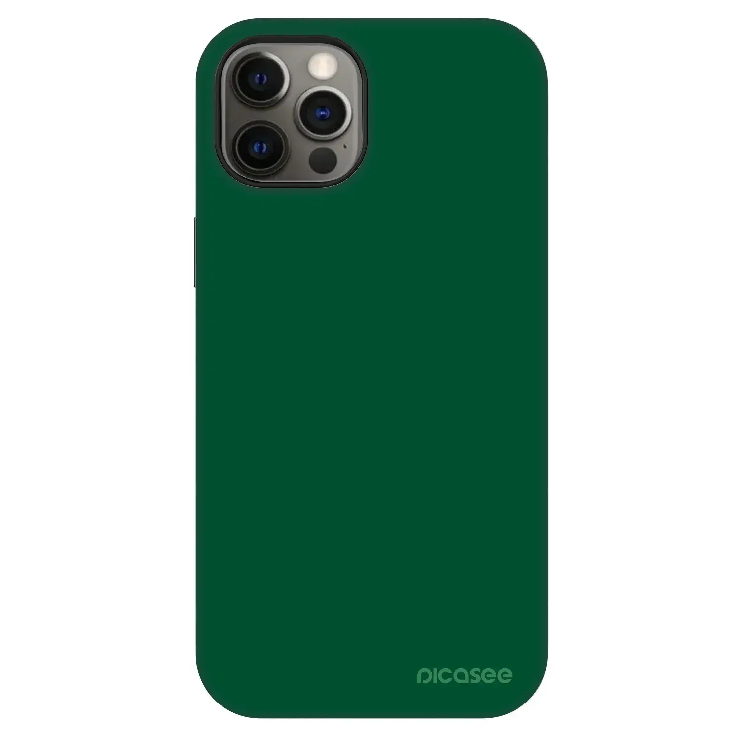 Fashion Case MagSafe Apple iPhone 12 - Green Gleam