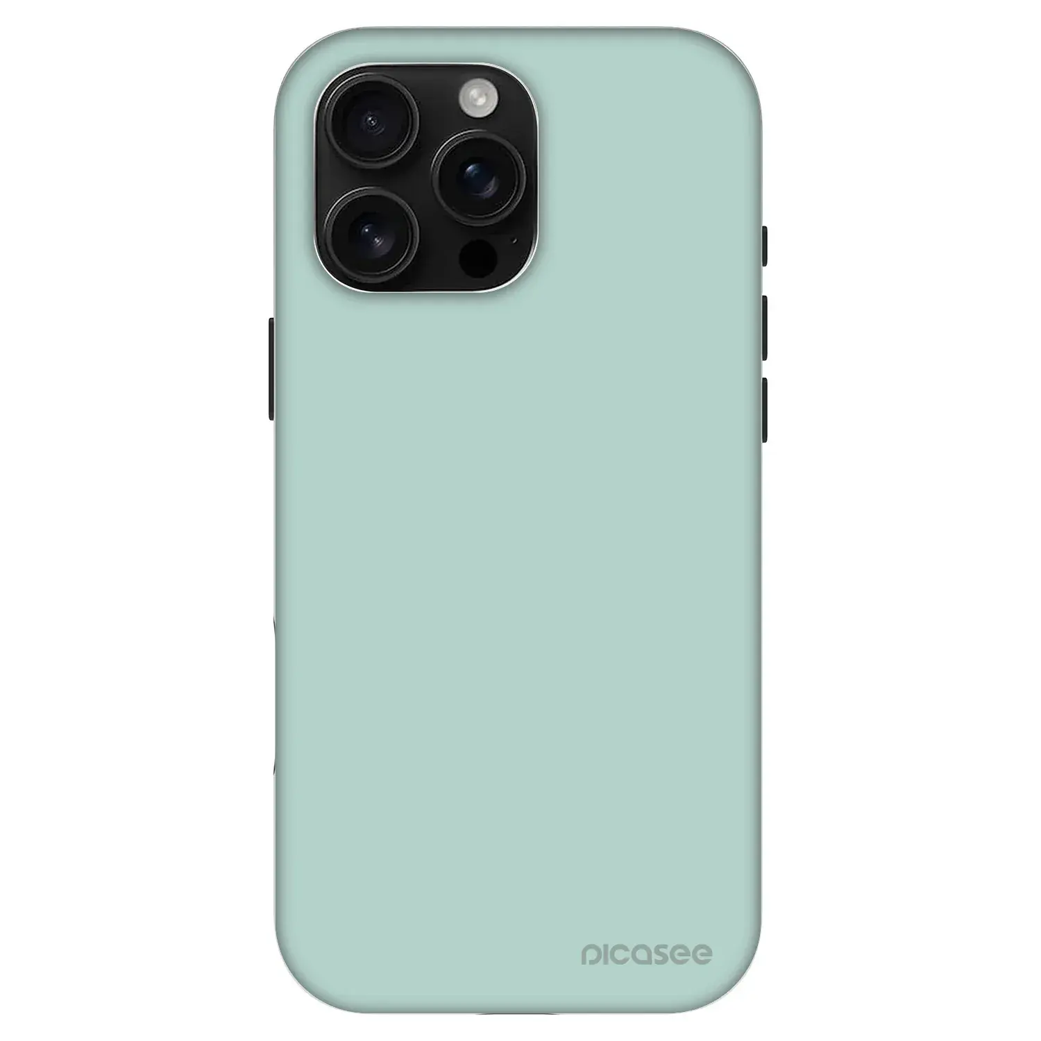 Fashion Case MagSafe Apple iPhone 16 Pro Max - Pastel Charm