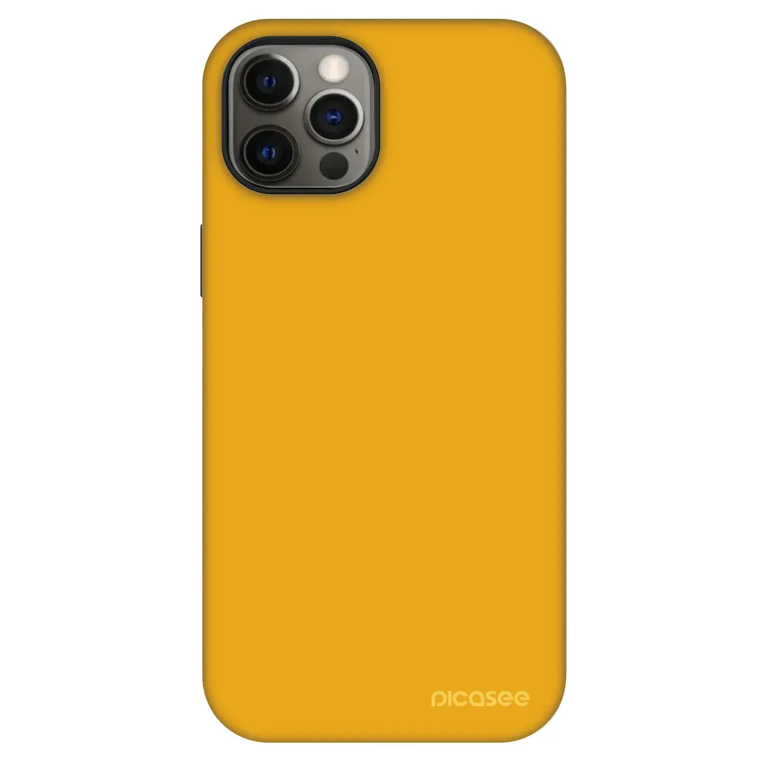 Fashion Case MagSafe Apple iPhone 12 - Sun