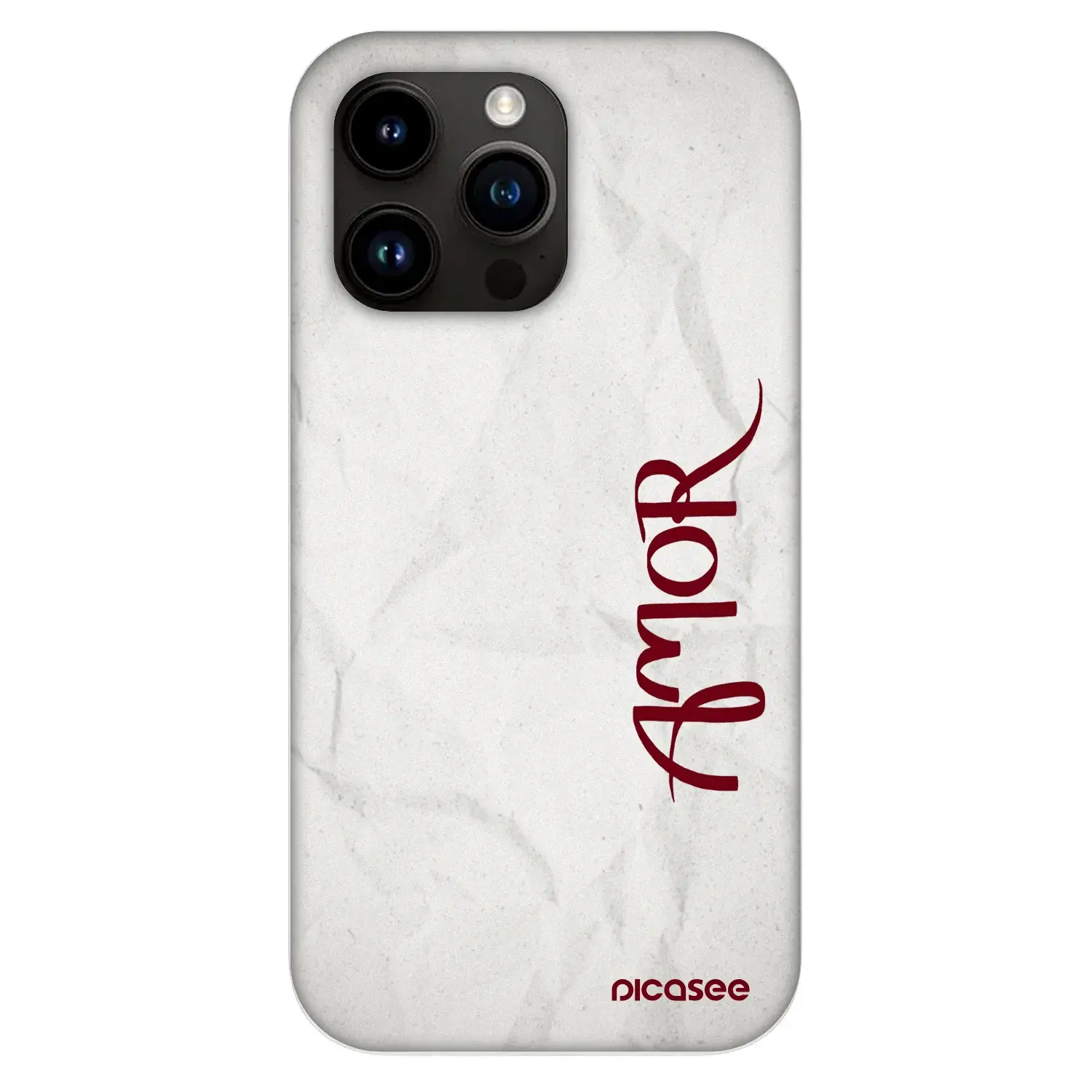 Fashion Case MagSafe Apple iPhone 13 Pro - Amor