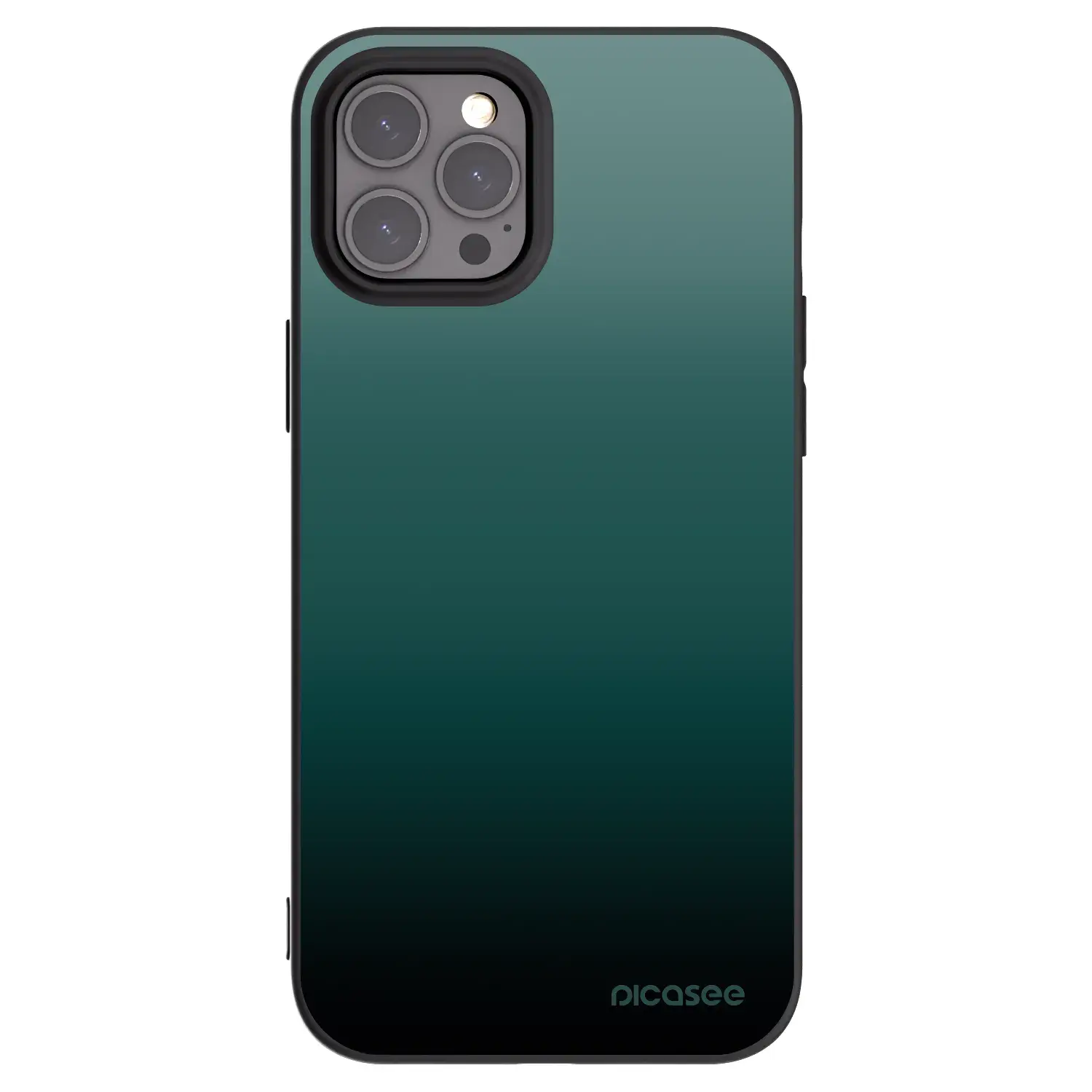 Silikonový černý obal pro Apple iPhone 12 Pro Max - Verdant Fade