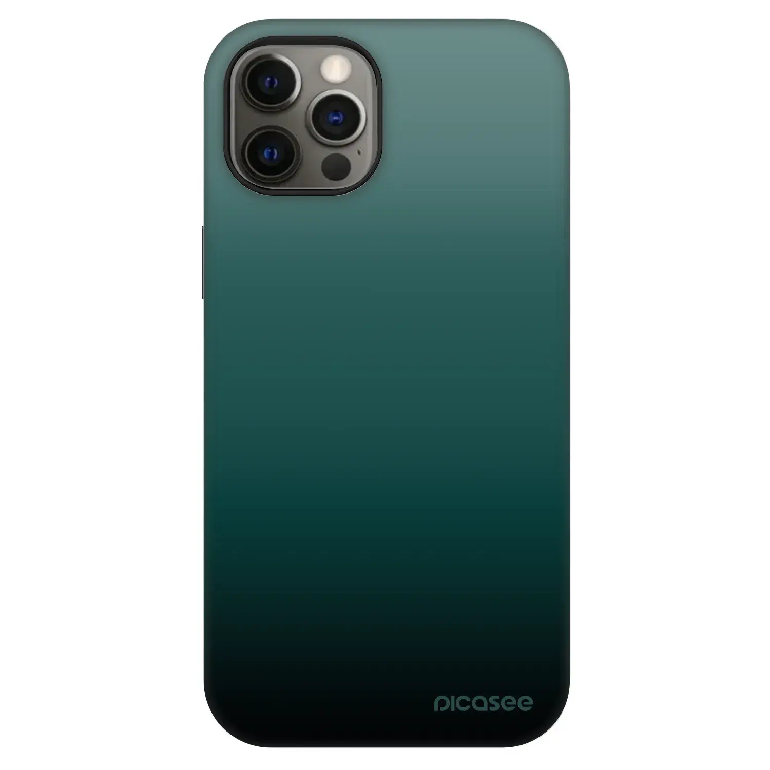 Fashion Case MagSafe Apple iPhone 12 - Verdant Fade
