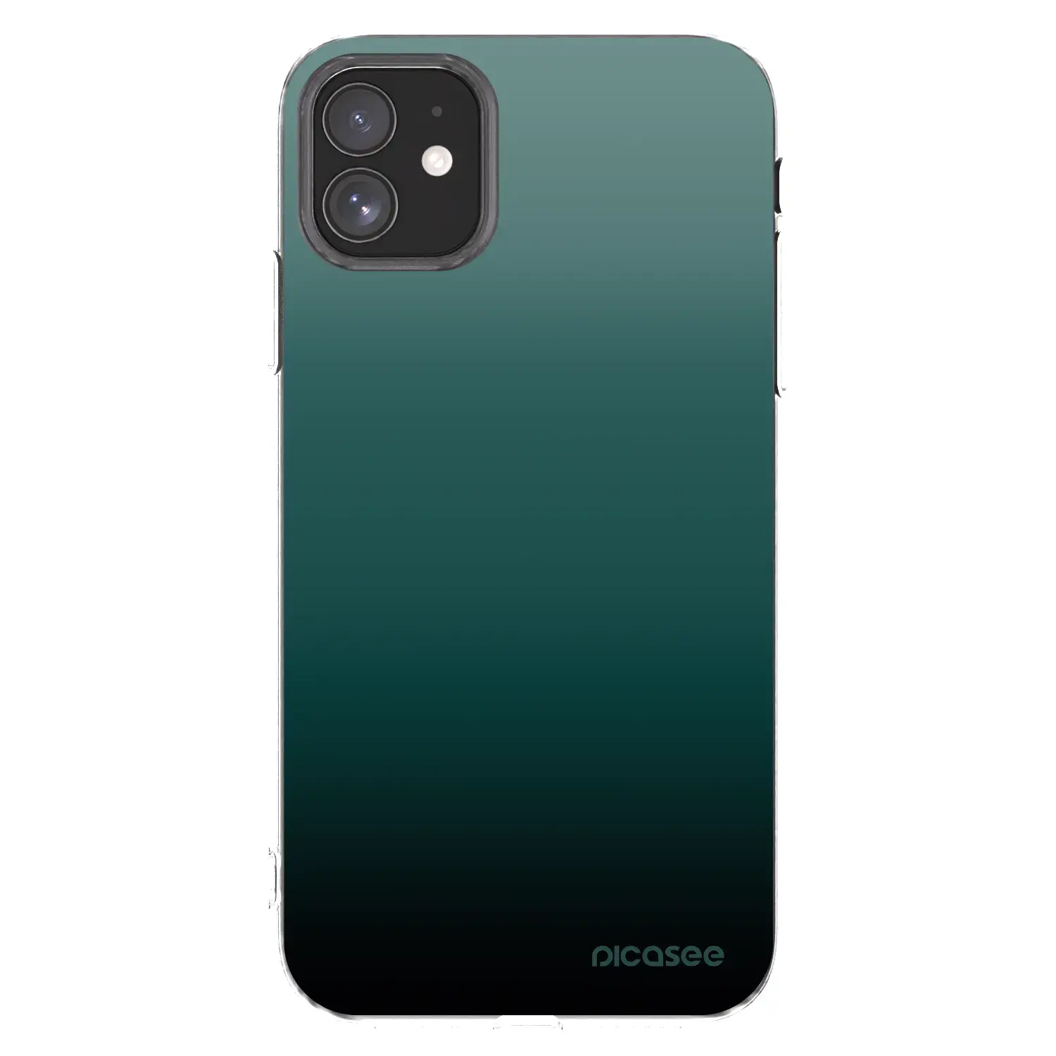 Silikonový průhledný obal pro Apple iPhone 11 - Verdant Fade