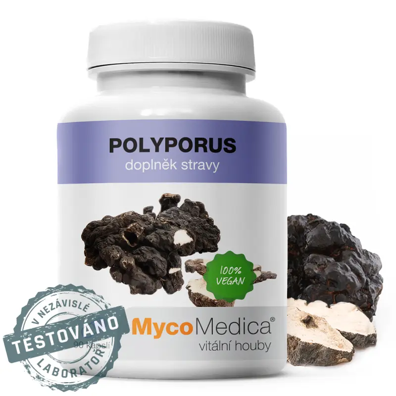 MycoMedica Polyporus 90 cps. - MycoMedica