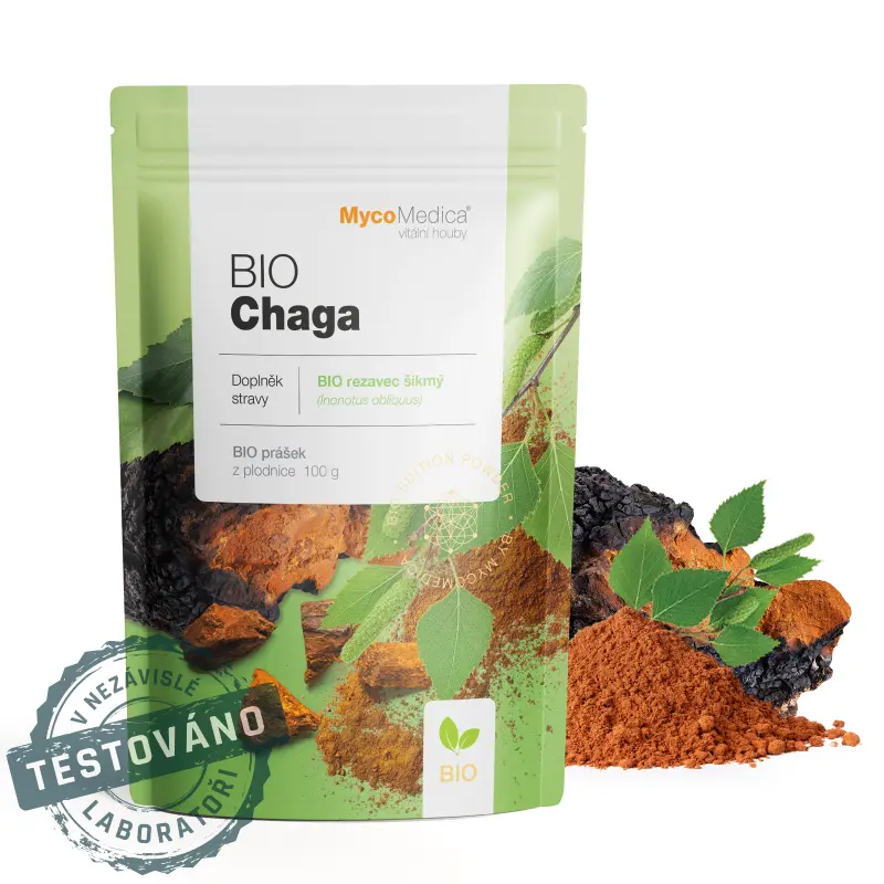 BIO Chaga prášek 100g - MycoMedica