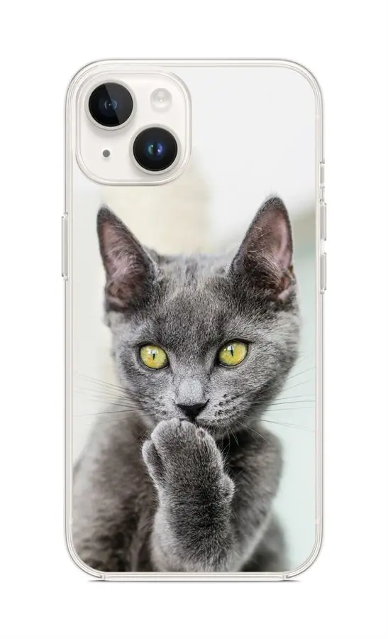 Kryt TopQ iPhone 14 Koťátko 109813
