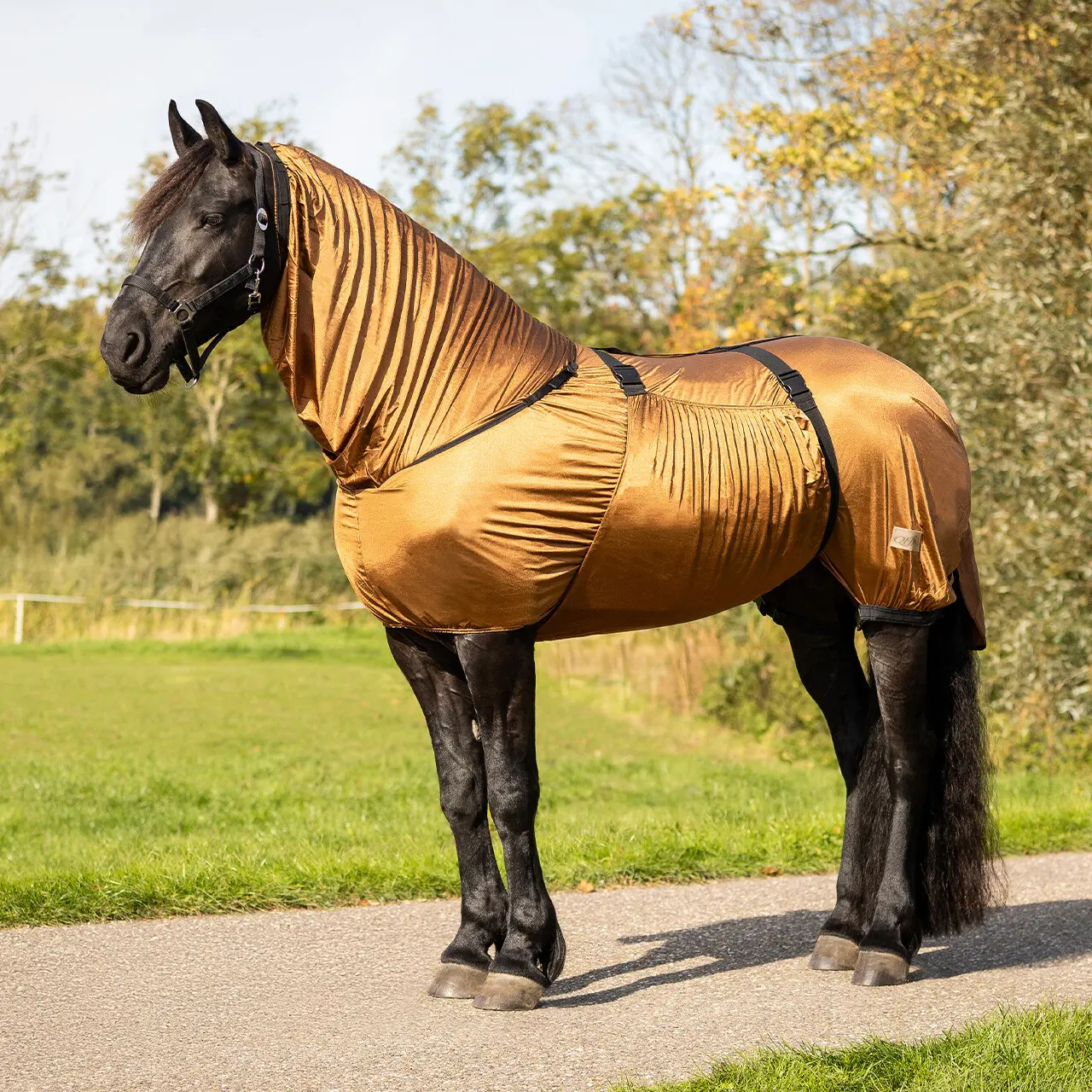 Ekzémová deka QHP Big Neck pro fríské a barokní koně – 225 cm