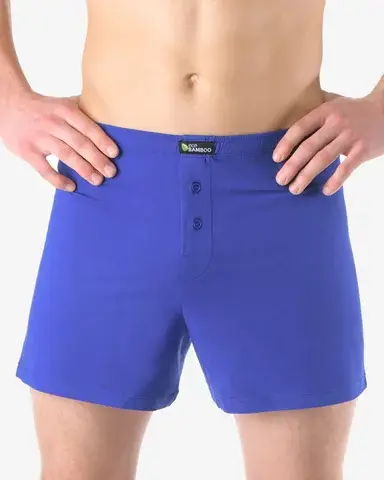 Pánské volné trenky GINO 75194P modrá M/L