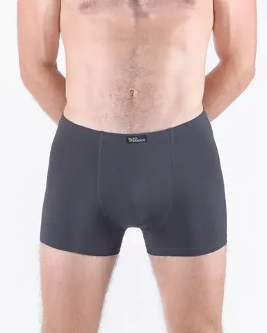 Pánské boxerky s kratší nohavičkou GINO 73125P tm. šedá XL/XXL
