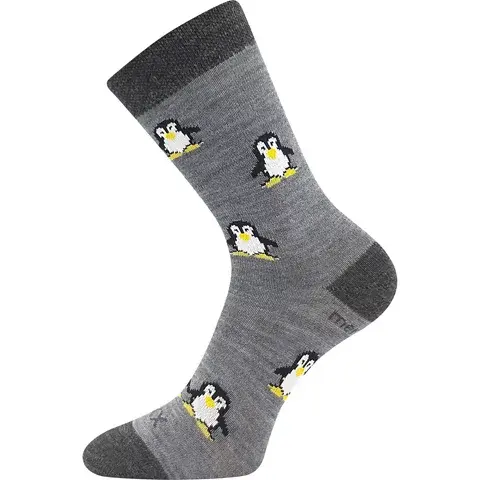 Dětské ponožky VoXX PENGUINIK šedá šedá
