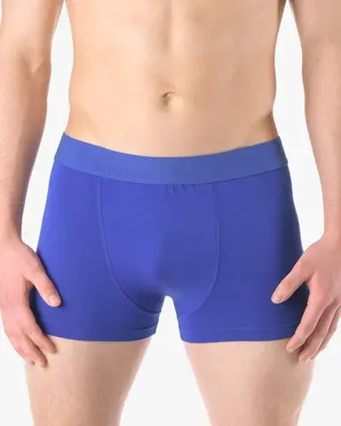 Pánské boxerky s kratší nohavičkou GINO 73126P