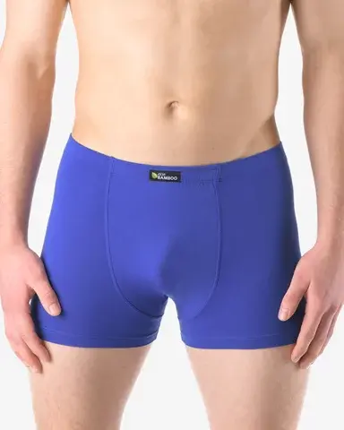 Pánské boxerky s kratší nohavičkou GINO 73125P modrá M/L