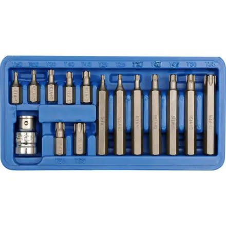 Vorel Sada bitů 15 ks CrV TORX, TO-66580