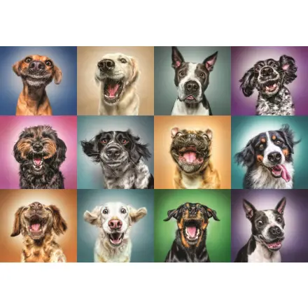 Trefl Puzzle Veselé psí portréty / 1000 dílků - Tolo